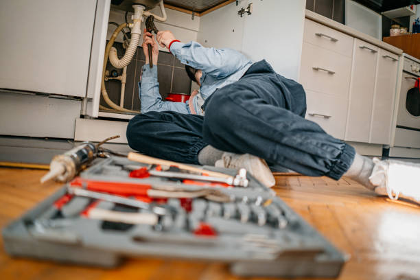 Best Emergency Plumber  in Bad Axe, MI